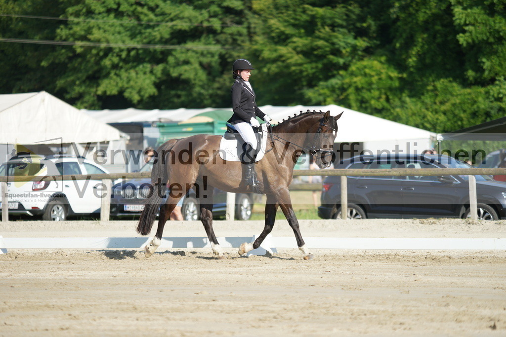 DSC04162 | equestrian-live-com