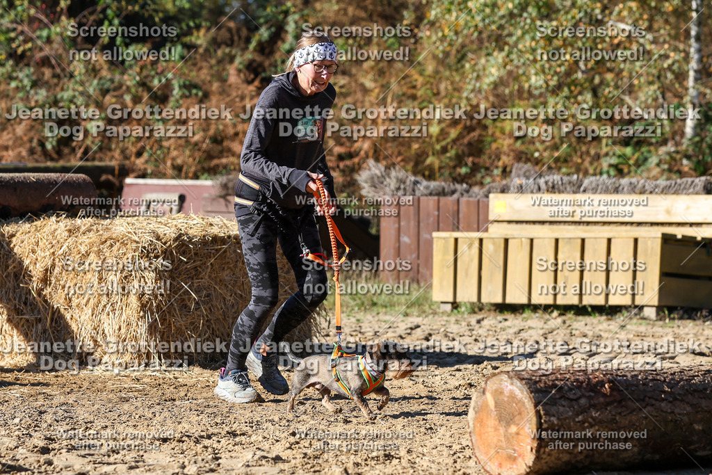 Dog Paparazzi - Strongdog 10-25-2552 | Dog Paparazzi Jeanette Grottendiek Fotografie & Videografie - Realisiert mit Pictrs.com