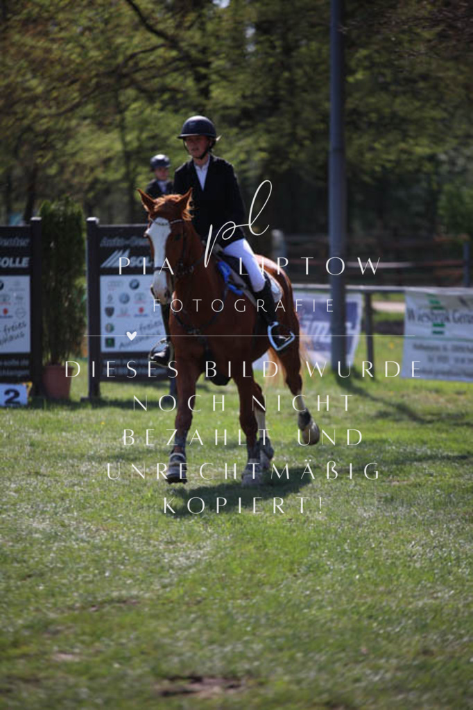 IMGT5782 | pl-fotografie