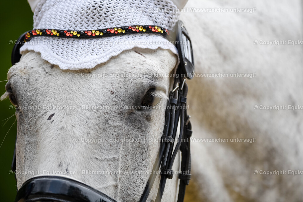 20250608_CVI-Masterclass_0292 | Foto: Thomas Hartig