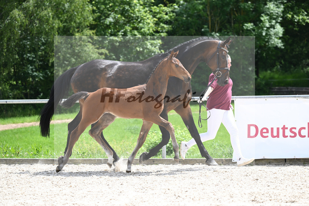 Fair Deal x Benetton Dream_HF_Schuster_20240382 | hf-fotografie - Realisiert mit Pictrs.com