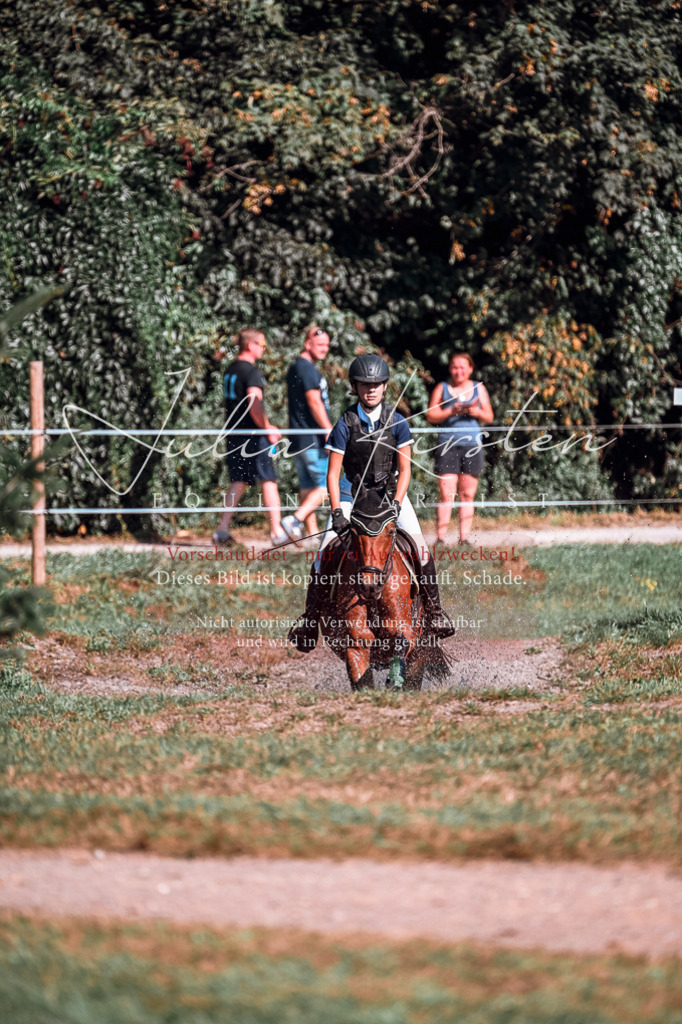 DSC_0973 | Pferde- und Turnierfotografie in Westsachsen. Pferdeportraits, Auftragszeichnungen und intuitive Kunst.