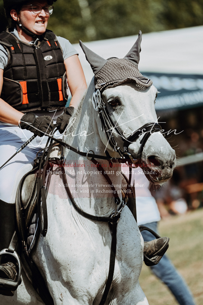 DSC_9349 | Pferde- und Turnierfotografie in Westsachsen. Pferdeportraits, Auftragszeichnungen und intuitive Kunst.