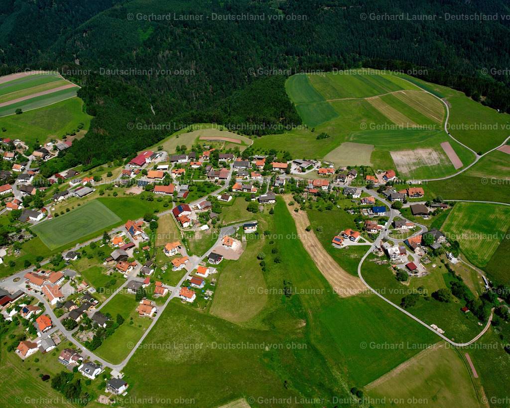 2530335 | Nöggenschwiel