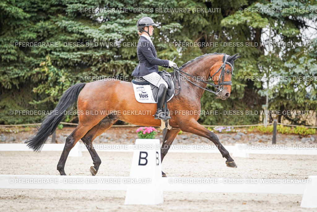 DSC08306 | Pferdegrafie