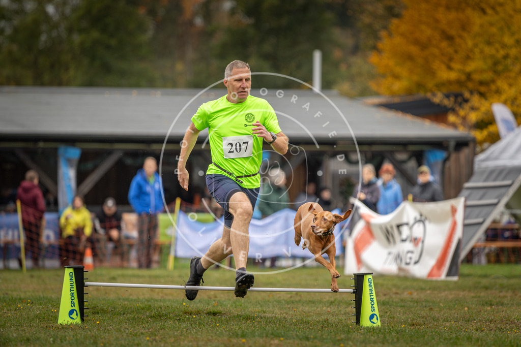 Pfotenfotografie_DV3A1789 | Hundefotografie, Tierfotograf, Pfotenfotografie, Fotoshooting Hund, Hunde Portrait, Hundesport, Hundeportraits, Heideshooting, Hunde, Sportfotograf, Hundefotograf, Turnierhundsport, THS,  - Realisiert mit Pictrs.com