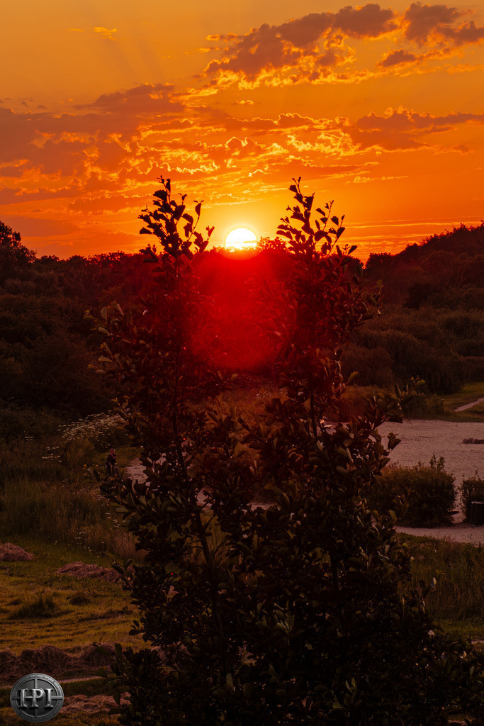 Sunset behind the horizon | Holzisphotography, Landschaftsfotografie, Wildlifefotogorafie - Realisiert mit Pictrs.com