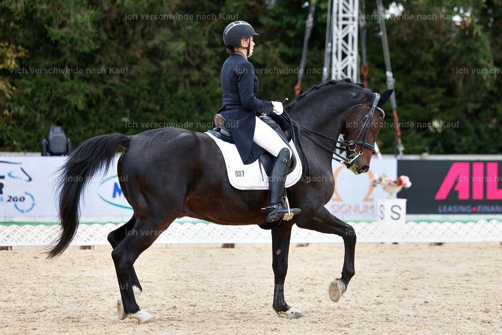 11-007-Dressur S___-StoibPH-1126 | working equitationturnier fotograf videograf stoibphotography marixx film working equitation deutschland reitsport turnierfotografie eventfotografie equestrian events