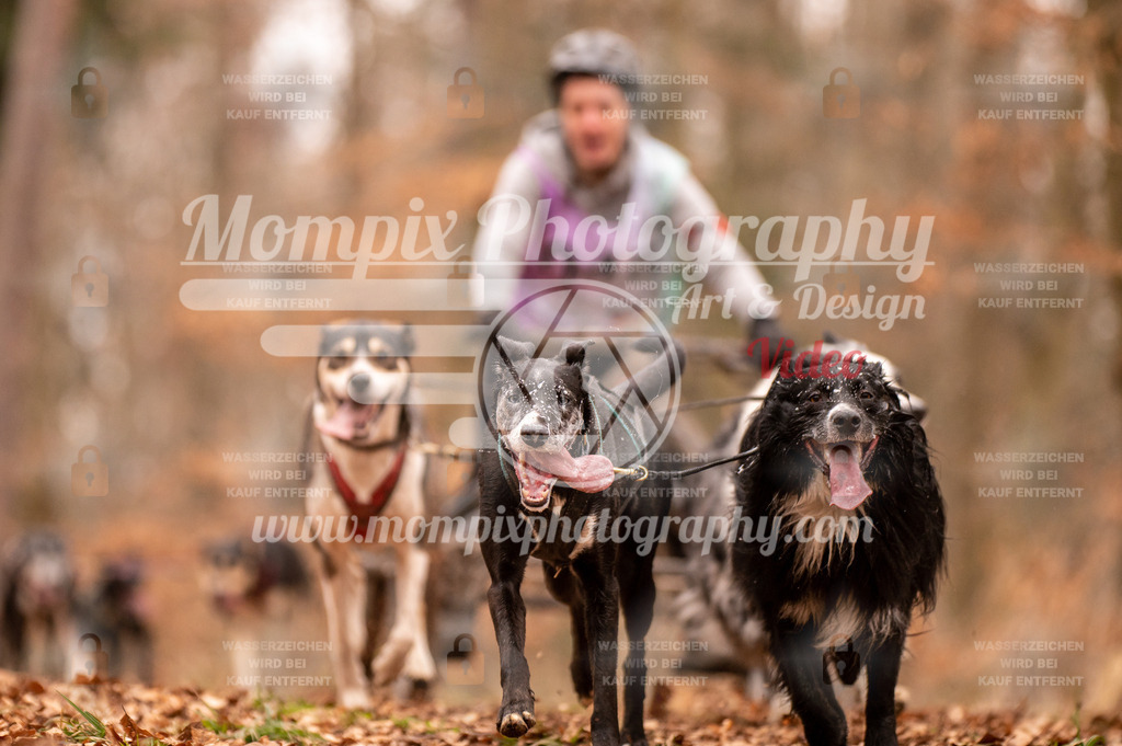 AKM_ST_2023_SAM_DR4-39 | PayLife