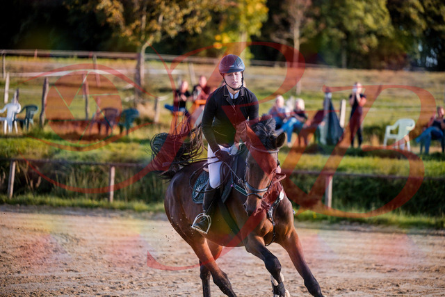 2026_10_03_Siefer-Hof_171051_Z81_08147953 | Professionelle Reitsport-, Turnier- und Eventfotografie von Robert Broda. Galerien mit ausgewählten und bearbeiteten Bildern direkt online ansehen und bestellen.
