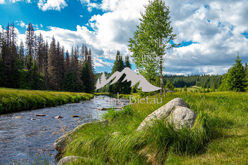 IMG_7118 | die noch junge Moldau fließt durch den Böhmerwald