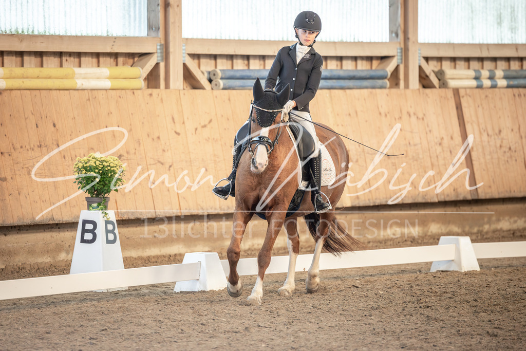 20251011-_3LI6846 | Tierfotografie Pferde, Hunde, Katzen, Haustiere.
Turnierfotografie Reitturniere, Reiten, Springreiten, Dressur in Hanau, dem Main-Kinzig-Kreis und dem Rhein-Main- Gebiet um Frankfurt