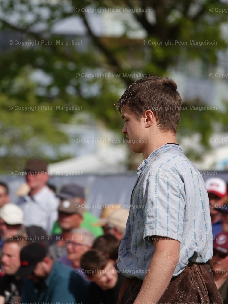 DSC06434 | Schwingen - Realisiert mit Pictrs.com