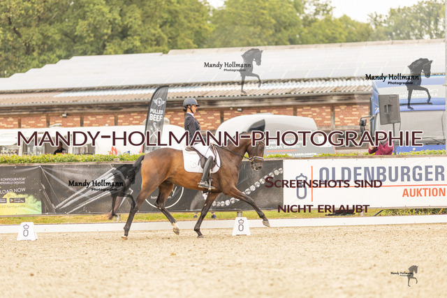 SW 4-928 | mandyhollmannphotographie