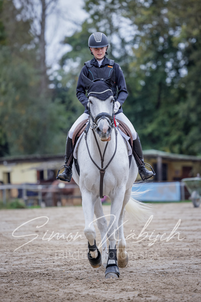 20251012-_3LI3165 | Tierfotografie Pferde, Hunde, Katzen, Haustiere.
Turnierfotografie Reitturniere, Reiten, Springreiten, Dressur in Hanau, dem Main-Kinzig-Kreis und dem Rhein-Main- Gebiet um Frankfurt