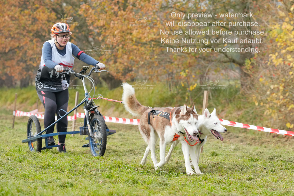 Visbeck_Sa_DS2DR2-152 | stephaniefillaphotographie - Realisiert mit Pictrs.com