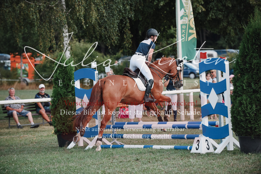 DSC_5618 | Pferde- und Turnierfotografie in Westsachsen. Pferdeportraits, Auftragszeichnungen und intuitive Kunst.