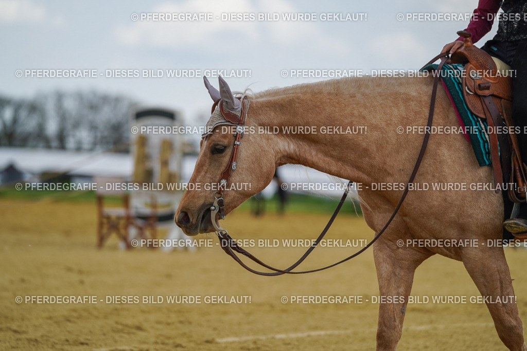 DSC05800 | Pferdegrafie