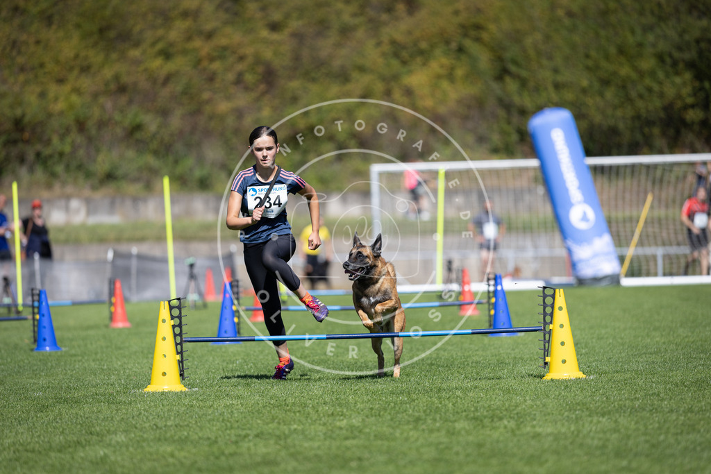Pfotenfotografie_DV3A5781 | Hundefotografie, Tierfotograf, Pfotenfotografie, Fotoshooting Hund, Hunde Portrait, Hundesport, Hundeportraits, Heideshooting, Hunde, Sportfotograf, Hundefotograf, Turnierhundsport, THS,  - Realisiert mit Pictrs.com