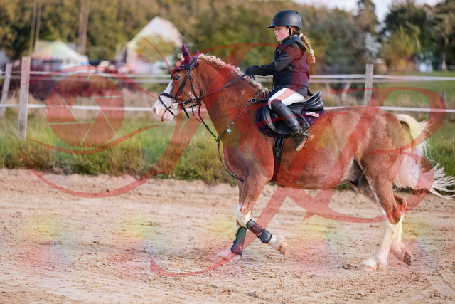 2026_10_03_Siefer-Hof_144505_Z81_19984075 | Professionelle Reitsport-, Turnier- und Eventfotografie von Robert Broda. Galerien mit ausgewählten und bearbeiteten Bildern direkt online ansehen und bestellen.
