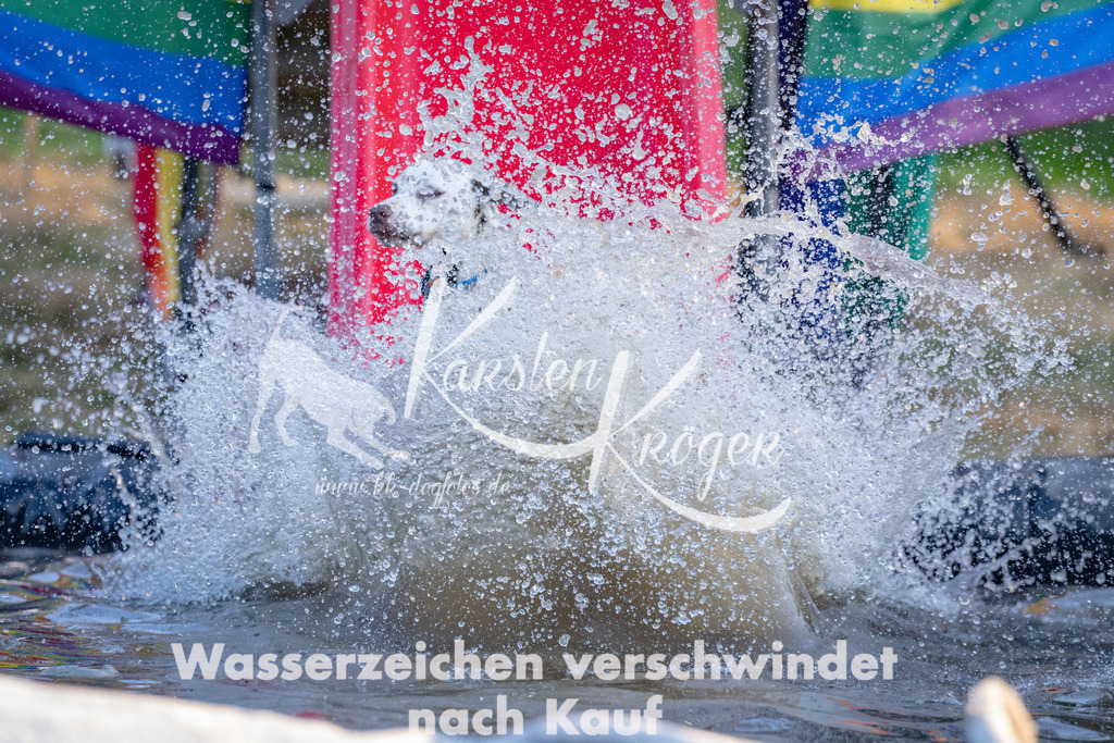 1847_ZZ91720 | kk-dogfotos