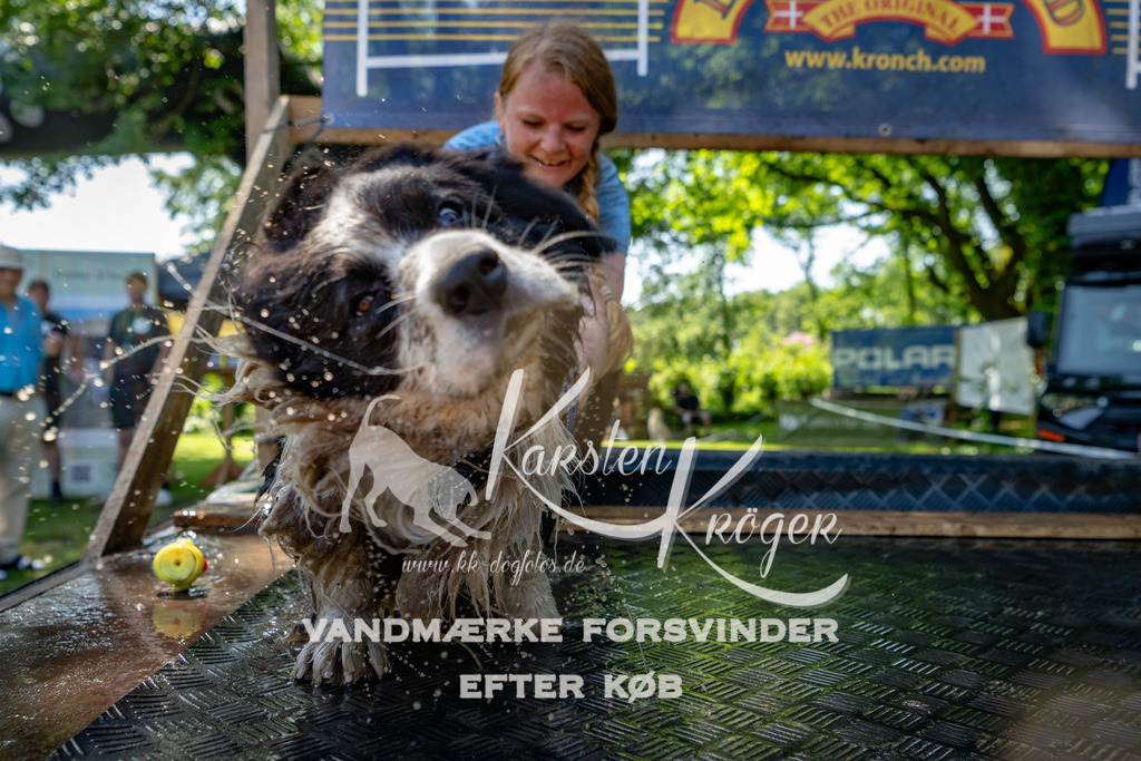 1343_ZZ92106 | kk-dogfotos