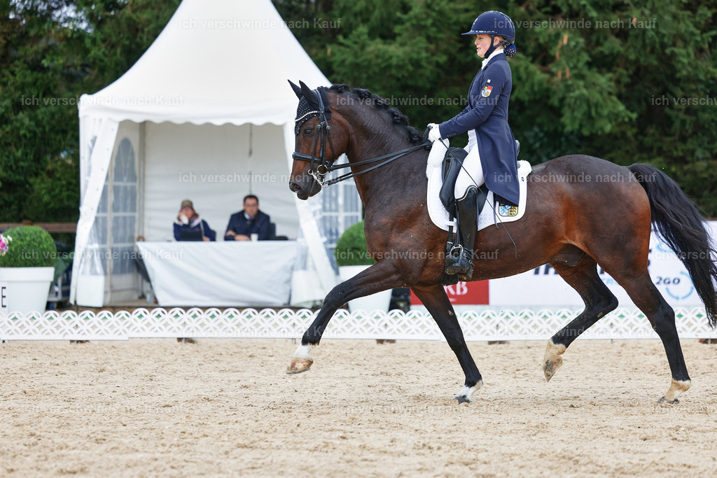 8_2-056-DRESSUR S_  -StoibPH-4415 | working equitationturnier fotograf videograf stoibphotography marixx film working equitation deutschland reitsport turnierfotografie eventfotografie equestrian events