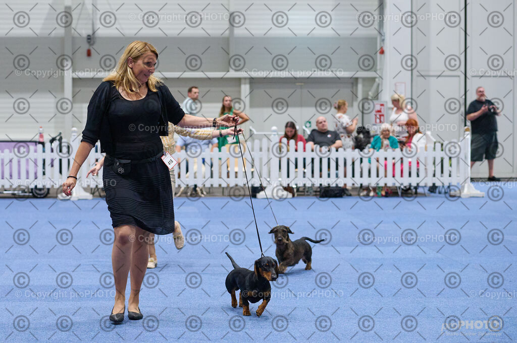 202406_ÖKV-IHA-Tulln24_DSC_3015 | proPHOTO - Realisiert mit Pictrs.com