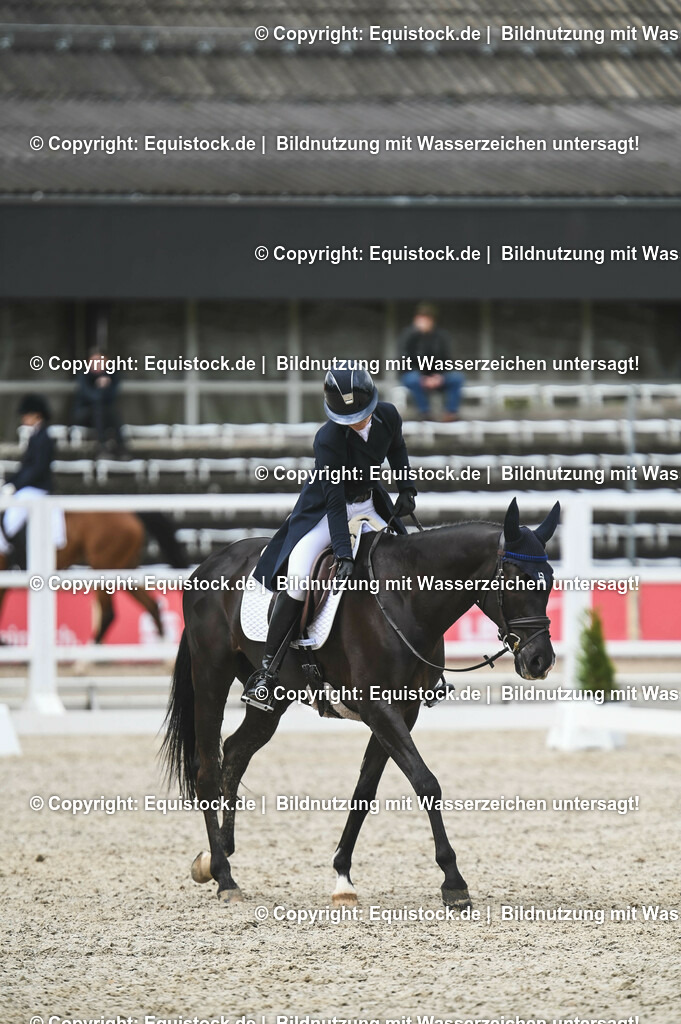 20230512_CCI4_Dressur_0178 | equistock
