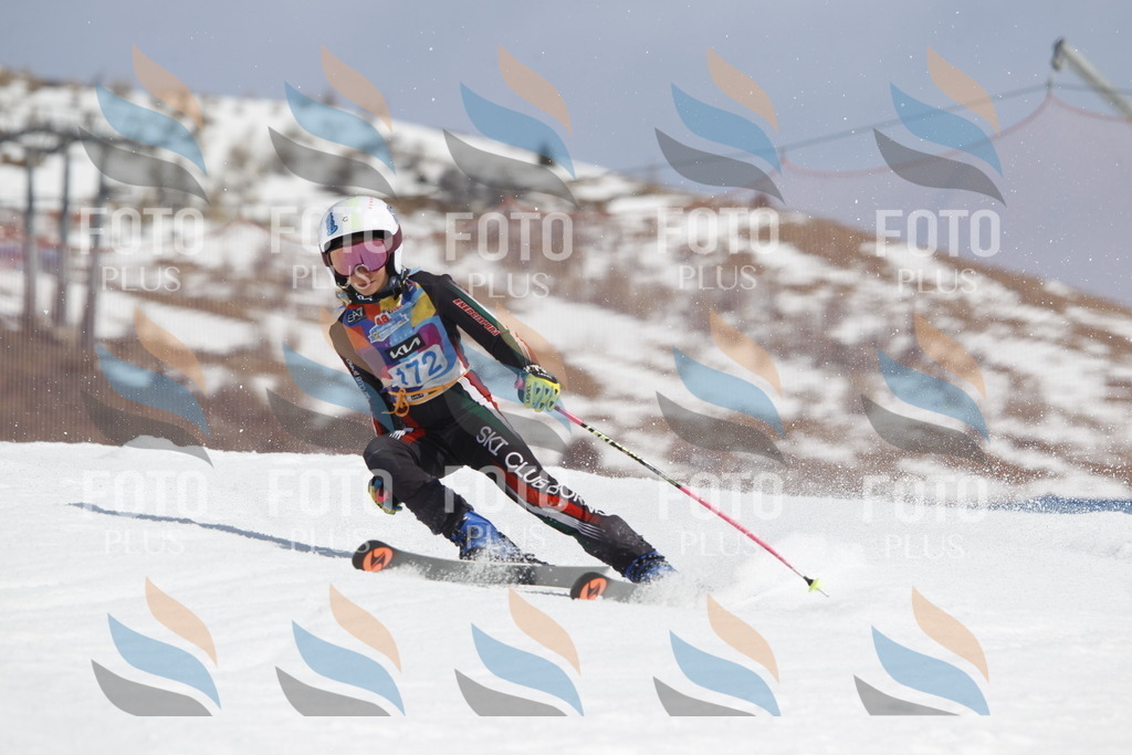 _U3G1581 | holidayphoto