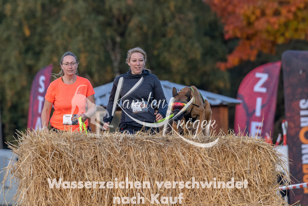 0843_ZZ91212 | kk-dogfotos