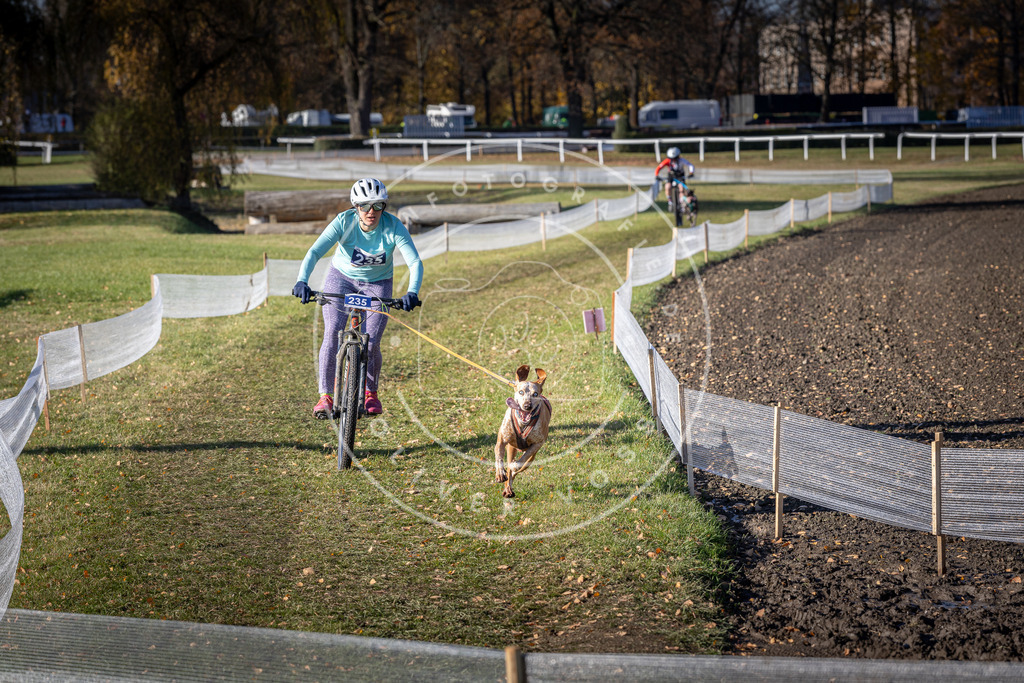 CaniXpix_DV3A4036 | Hundefotografie, Tierfotograf, Pfotenfotografie, Fotoshooting Hund, Hunde Portrait, Hundesport, Hundeportraits, Heideshooting, Hunde, Sportfotograf, Hundefotograf, Turnierhundsport, THS,  - Realisiert mit Pictrs.com