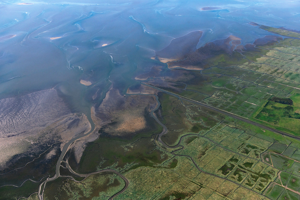 dr__0202372.jpg | FRIEDRICHSKOOG 06.09.2023 Salzwiesen mit brauner Vegetation im Nationalpark Wattenmeer der Nordsee in Friedrichskoog im Bundesland Schleswig-Holstein. Priele durchziehen das Deichvorland südwestlich der Ortschaft Friedrichskoog.