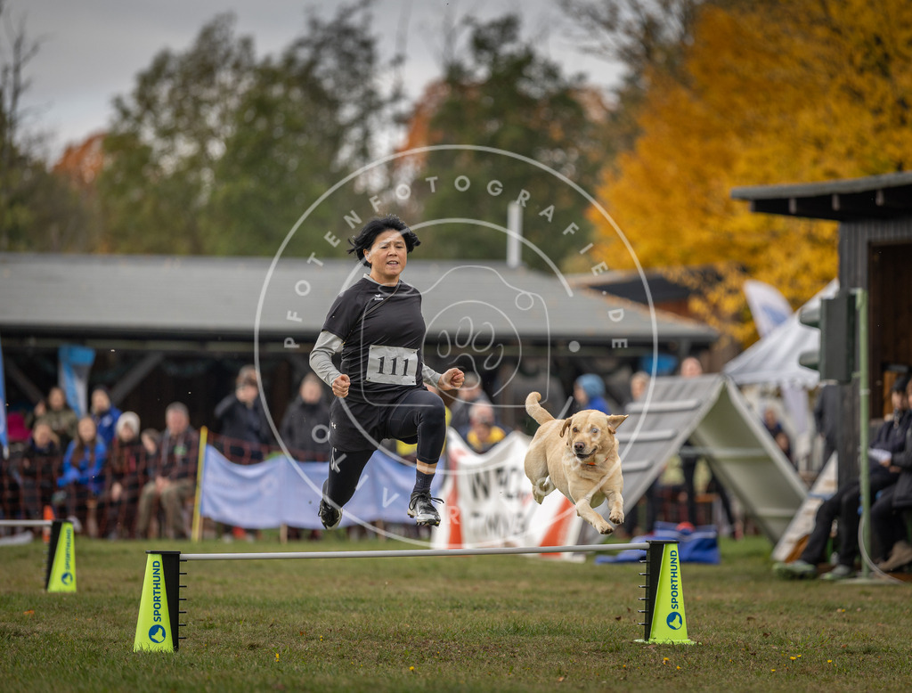 Pfotenfotografie_DV3A6780 | Hundefotografie, Tierfotograf, Pfotenfotografie, Fotoshooting Hund, Hunde Portrait, Hundesport, Hundeportraits, Heideshooting, Hunde, Sportfotograf, Hundefotograf, Turnierhundsport, THS,  - Realisiert mit Pictrs.com