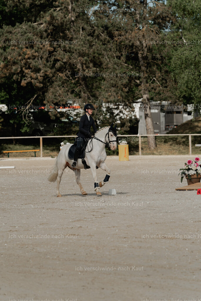 WE_ST_Stoib_341_PI2025_892 | Pferd International München 2025