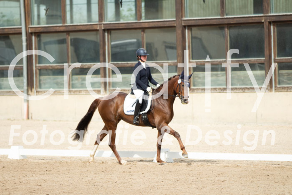 IMG_1638 | Creatify Fotografie