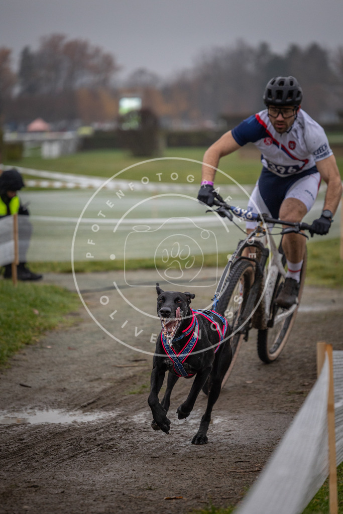 CaniXpix_0L8A1107 | Hundefotografie, Tierfotograf, Pfotenfotografie, Fotoshooting Hund, Hunde Portrait, Hundesport, Hundeportraits, Heideshooting, Hunde, Sportfotograf, Hundefotograf, Turnierhundsport, THS,  - Realisiert mit Pictrs.com