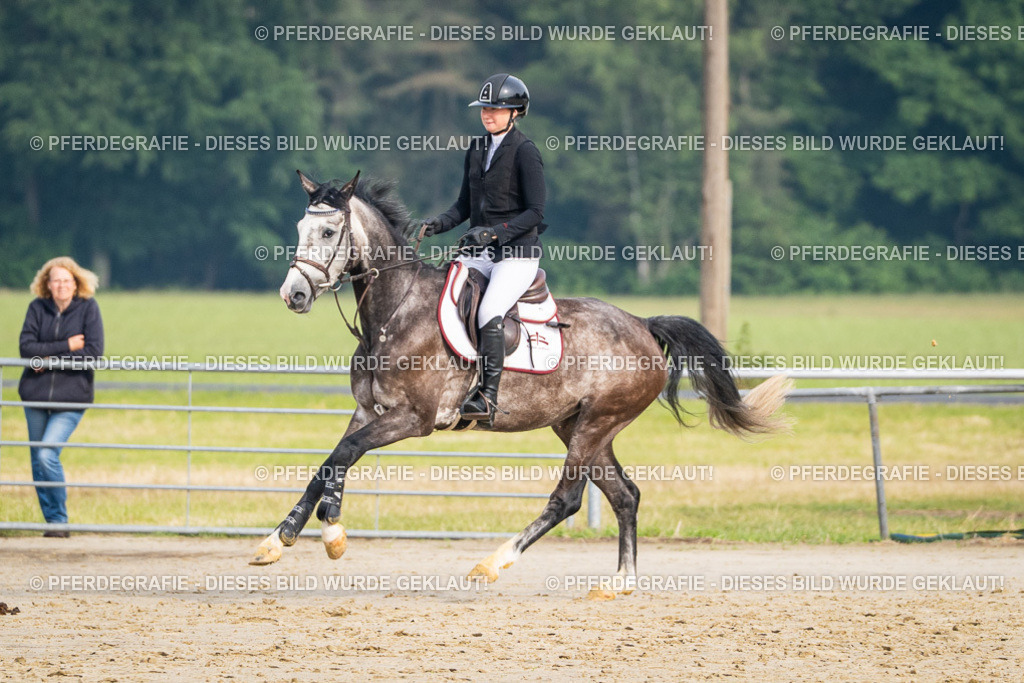 DSC08978 | Pferdegrafie