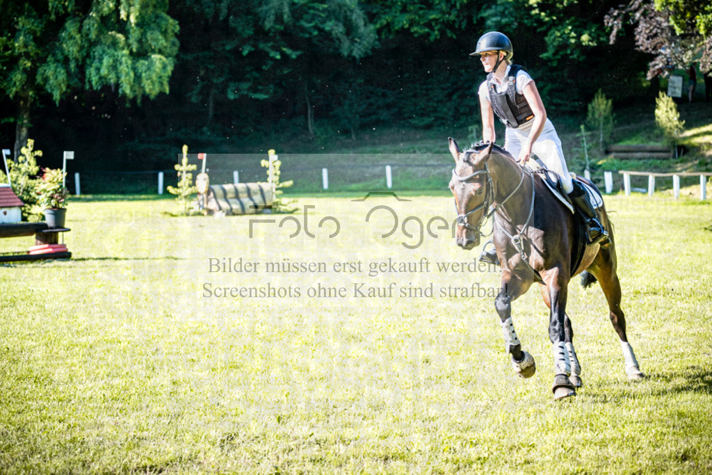 2026-05 - Melle Oldendorf-3-0115 | Entdecke hochwertige Reitturnierfotos von Foto Oger. Professionell, emotional und authentisch – jetzt Lieblingsmomente im Shop bestellen.Deutschlandweite Turnierfotografie. - Realisiert mit Pictrs.com
