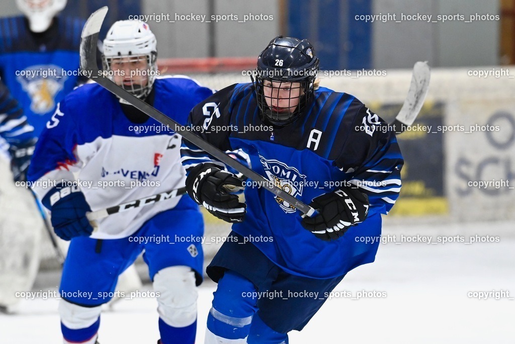 BST_4566 | hockey sports photos, Pressefotos, Sportfotos, hockey247, win 2day icehockeyleague, Handball Austria, Floorball Austria, ÖVV, Kärntner Eishockeyverband, KEHV, KFV, Kärntner Fussballverband, Österreichischer Volleyballverband, Alps Hockey League, ÖFB, 