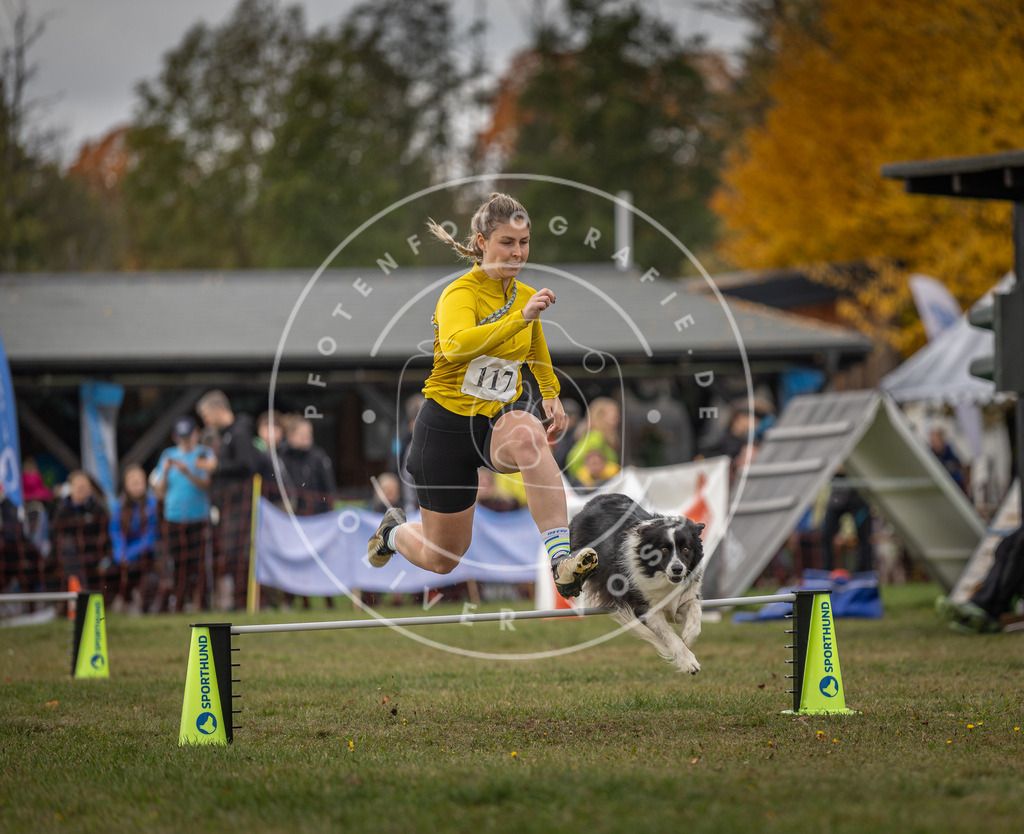 Pfotenfotografie_DV3A6678 | Hundefotografie, Tierfotograf, Pfotenfotografie, Fotoshooting Hund, Hunde Portrait, Hundesport, Hundeportraits, Heideshooting, Hunde, Sportfotograf, Hundefotograf, Turnierhundsport, THS,  - Realisiert mit Pictrs.com