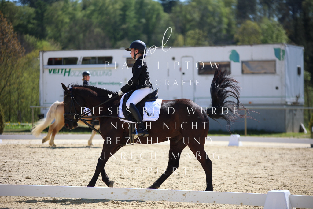 IMGT0415 | pl-fotografie