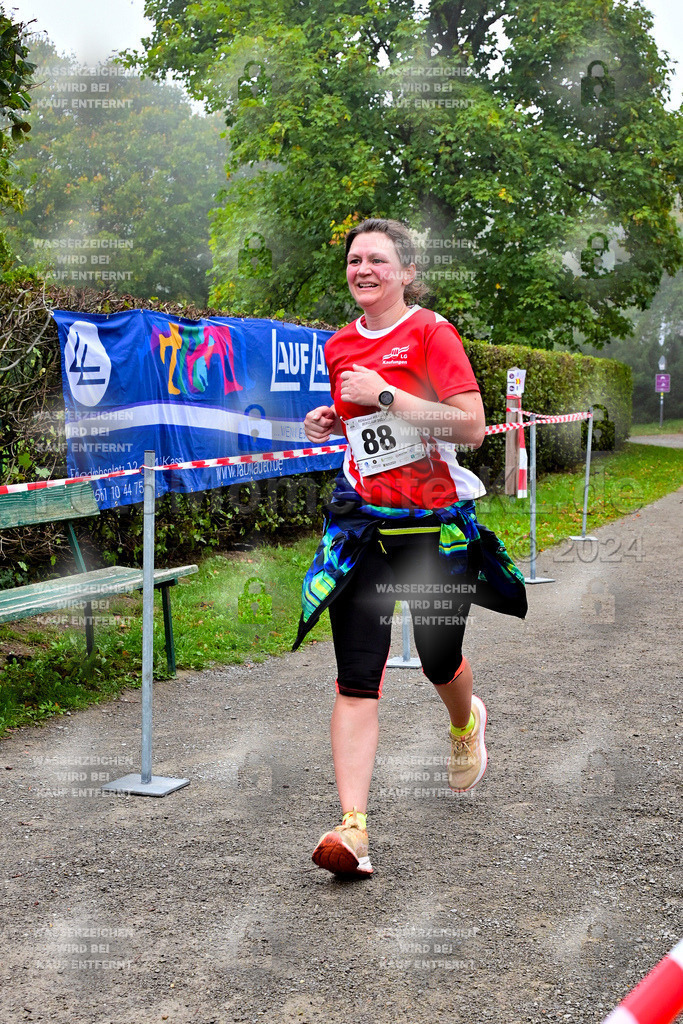 Z8N_2376 | la-psv - Realisiert mit Pictrs.com