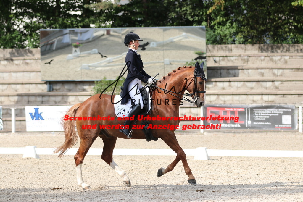 IMG_6501 | lmwpictures - Realisiert mit Pictrs.com