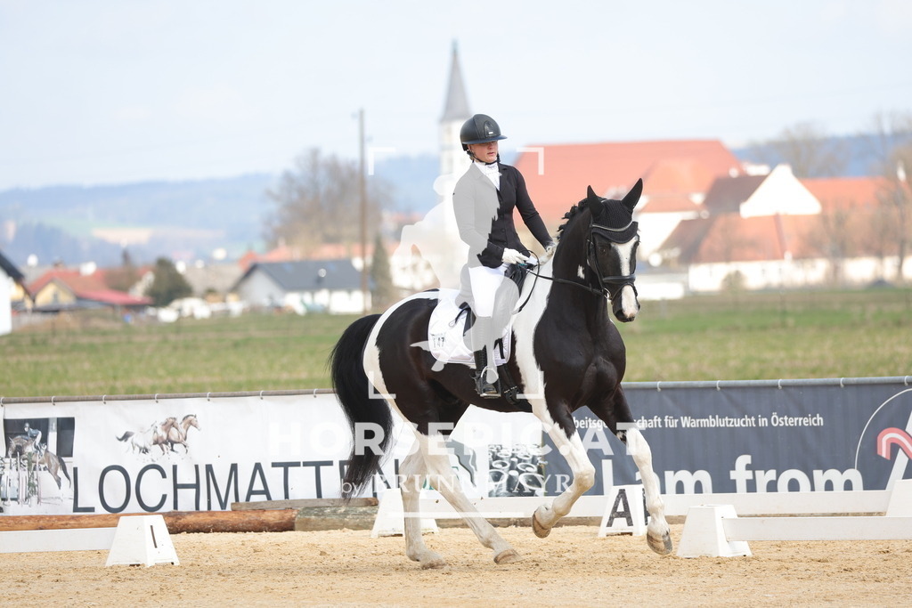 0P6A6551 | Willkommen bei Brunnmayr - Design & Fotografie – Ihrem Spezialisten für Reitturniere und Pferdeveranstaltungen in Oberösterreich, Salzburg und Bayern! Seit über 17 Jahren sind wir leidenschaftlich dabei.