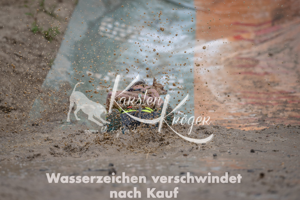 1100_ZZ98587 | kk-dogfotos