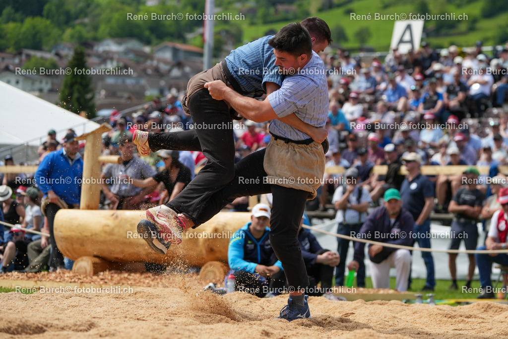 RB-01976 | René Burch leidenschaftlicher Fotograf aus Kerns in Obwalden.  Hier finden sie Sport, Landschaft und Natur Fotografie.
 - Realisiert mit Pictrs.com