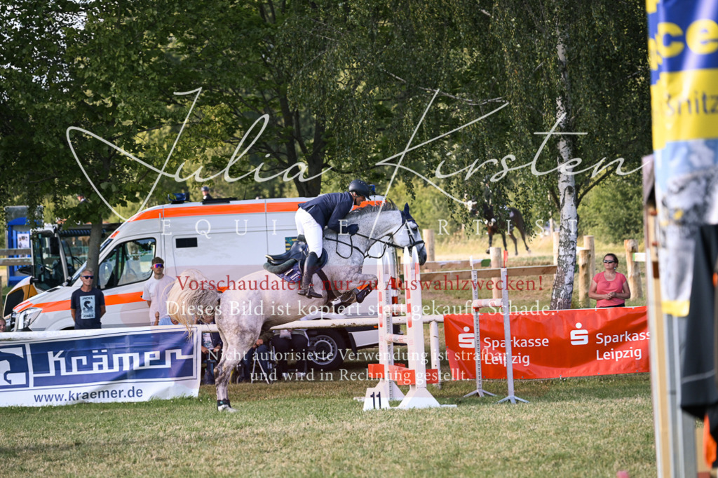 DSC_1735 | Pferde- und Turnierfotografie in Westsachsen. Pferdeportraits, Auftragszeichnungen und intuitive Kunst.