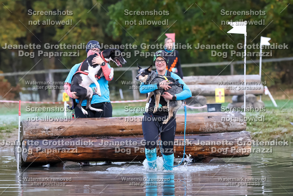 Dog Paparazzi - Strongdog 10-25-6255 | Dog Paparazzi Jeanette Grottendiek Fotografie & Videografie - Realisiert mit Pictrs.com