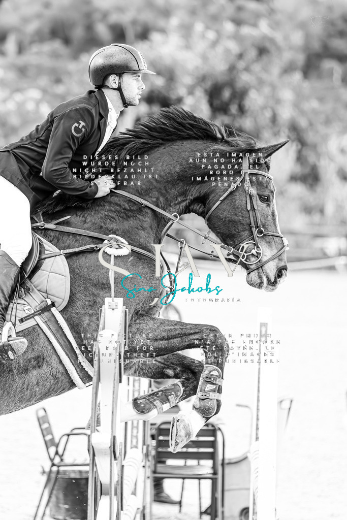 IMG_6065-Verbessert-RR | s-jay-photography - Realisiert mit Pictrs.com